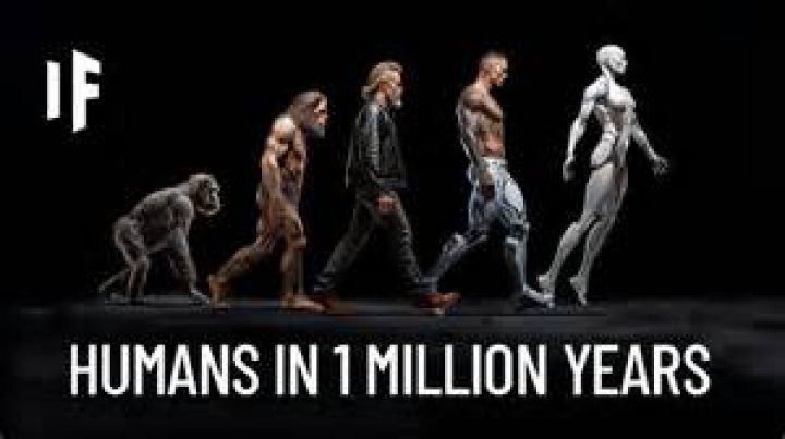 How did humans get lice?