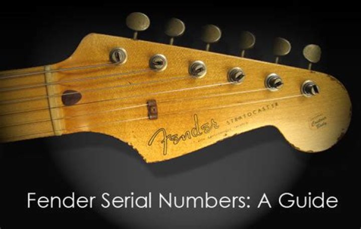 How do I find my fender serial number?