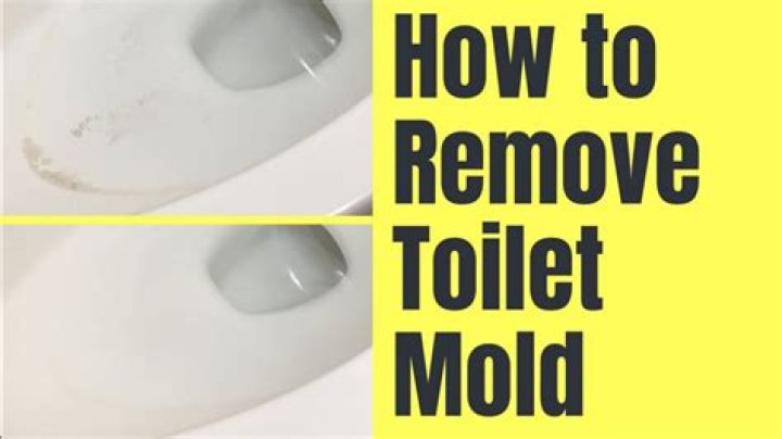 How do I keep mold out of my unused toilet?