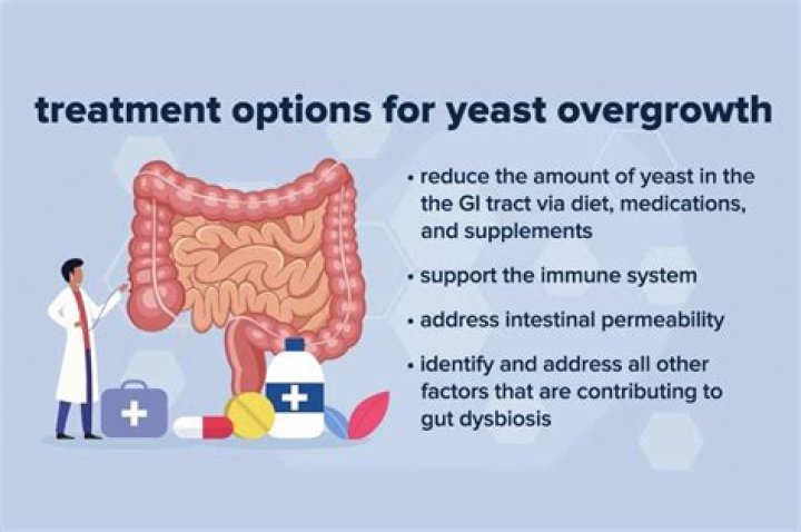 How do you get rid of intestinal yeast overgrowth?