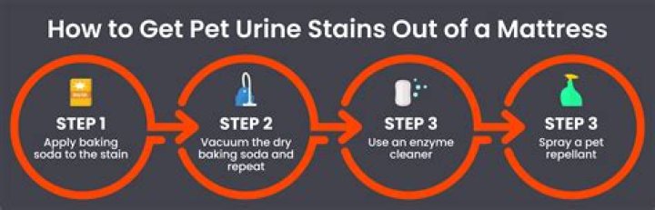 How do you get urine stains out of a mattress without baking soda?