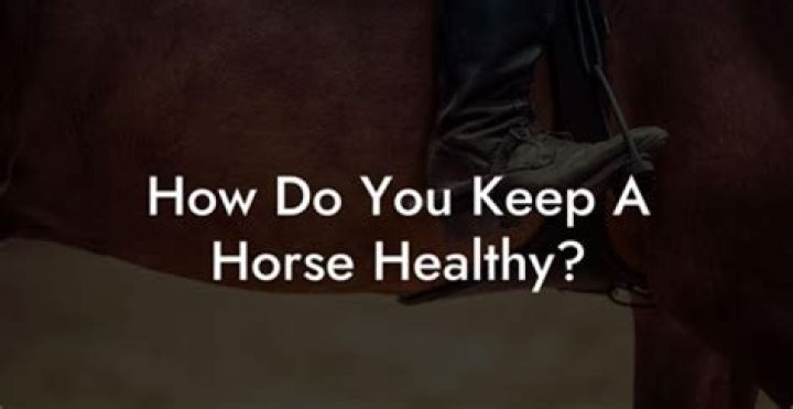 How do you keep a horse in a small acre?