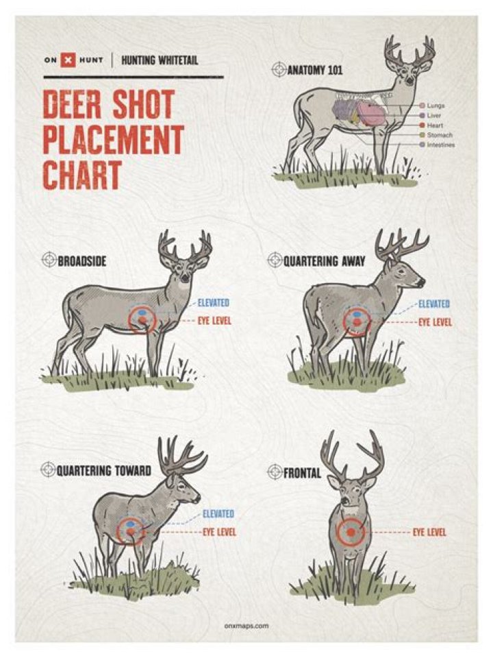 How do you shoot low 80s in golf?