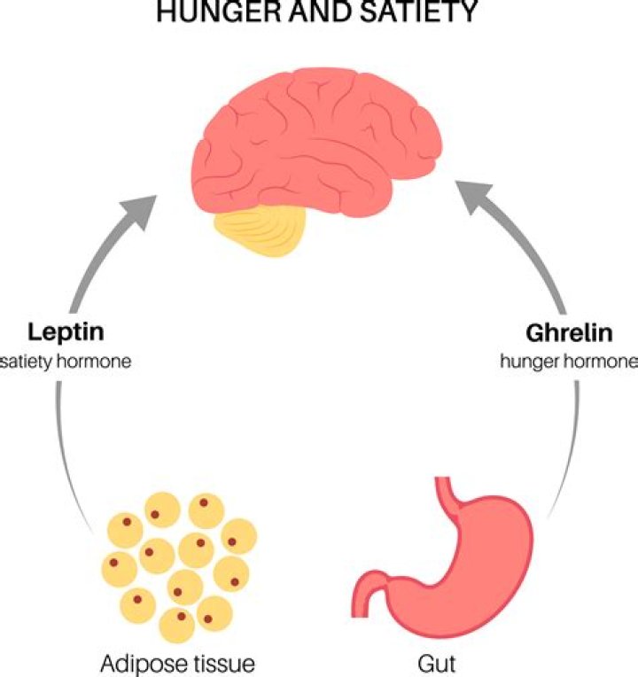 How do you stop the ghrelin hormone?