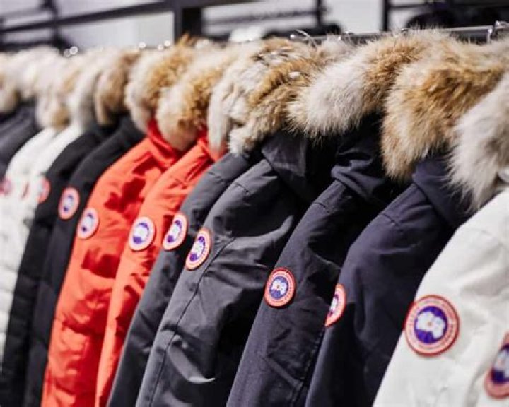 How does Canada goose get their down?