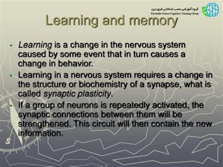 How does learning change the brain?