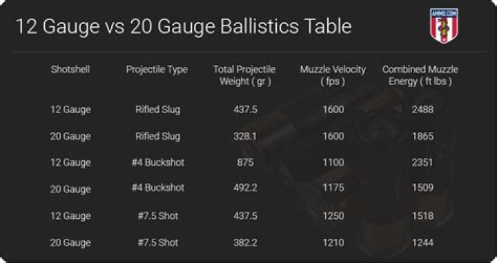 How far is a 12 gauge slug accuracy?
