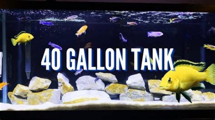 How long can you shower in a 40 gallon tank?