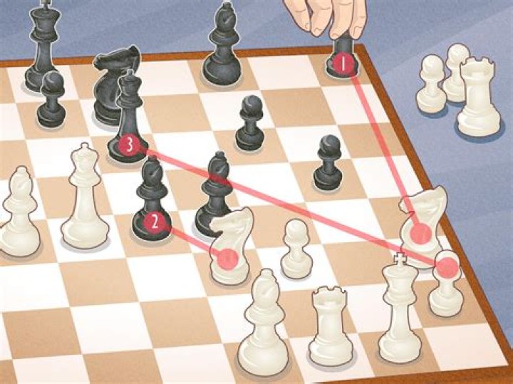 How long do chess players practice a day?