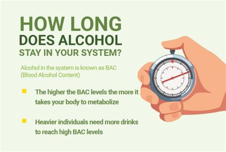 How long does alcohol high last?