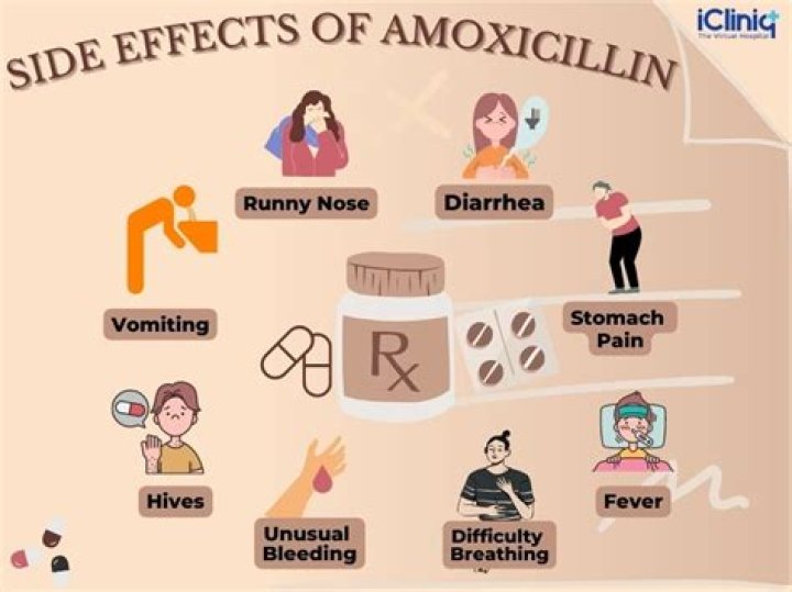 How long does it take for amoxicillin to take effect?
