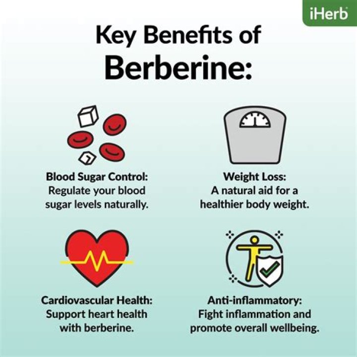 How long does it take for berberine to lower A1c?