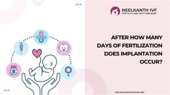 How long does it take for fertilization to occur?
