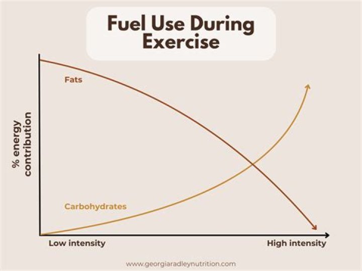 How long does it take to switch from burning carbs to burning fat?