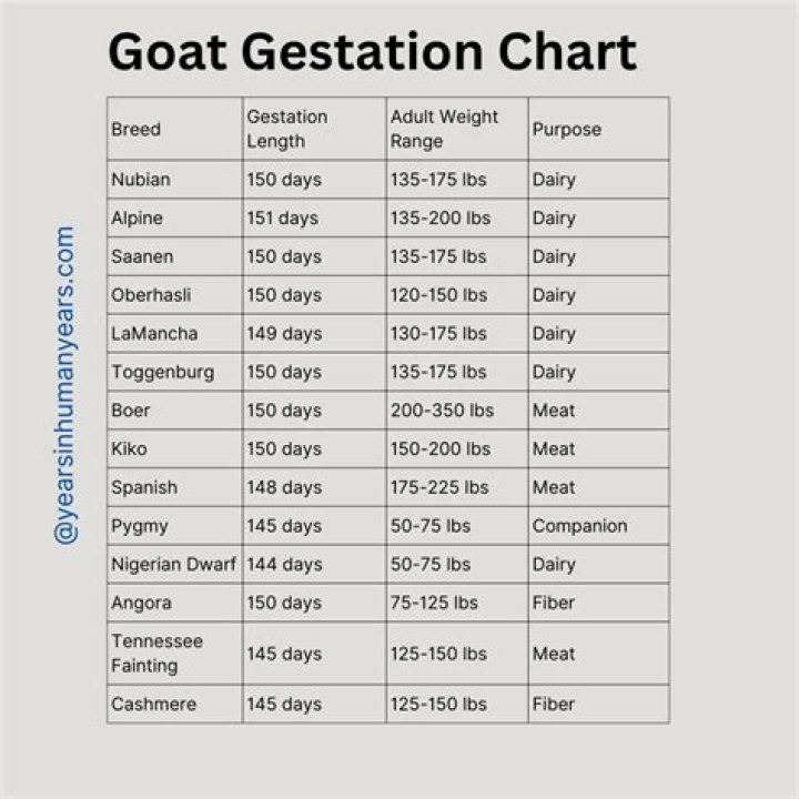 How long is a goat pregnant?