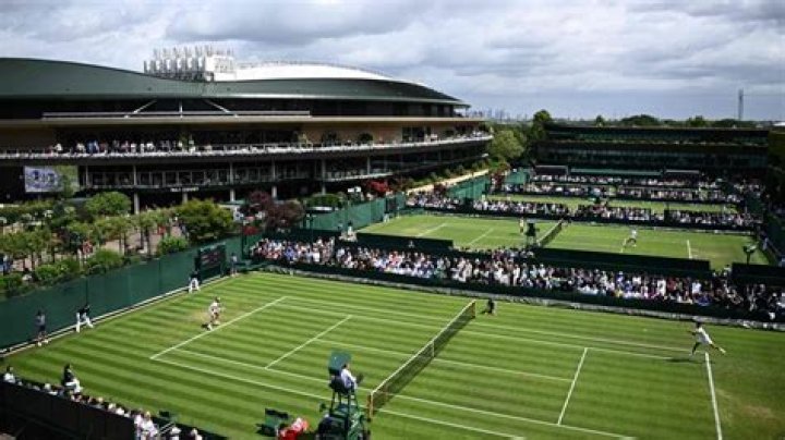 How many balls are used during the Wimbledon fortnight?