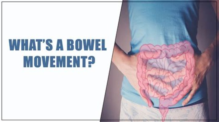 How many days can a cat go without a bowel movement?