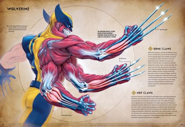 How many fighting styles does Wolverine know?