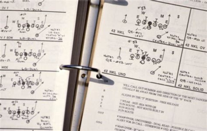 How many plays are in an NFL playbook?