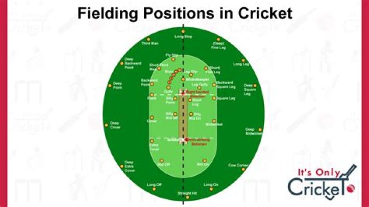 How many positions are there in cricket?