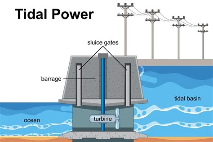 How many tidal power plants are there in the US?