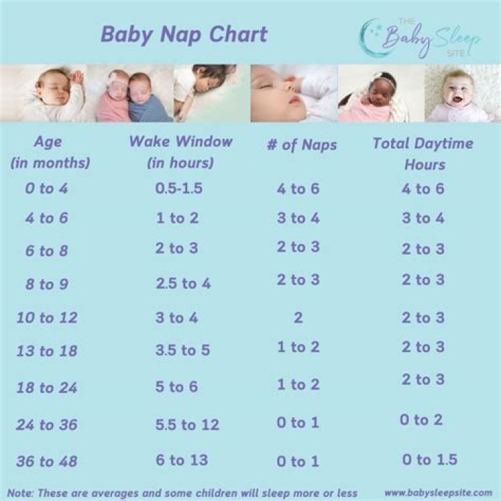 How many times should a 18 month old pee a day?
