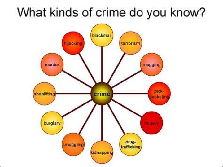 How many types of crimes are there?