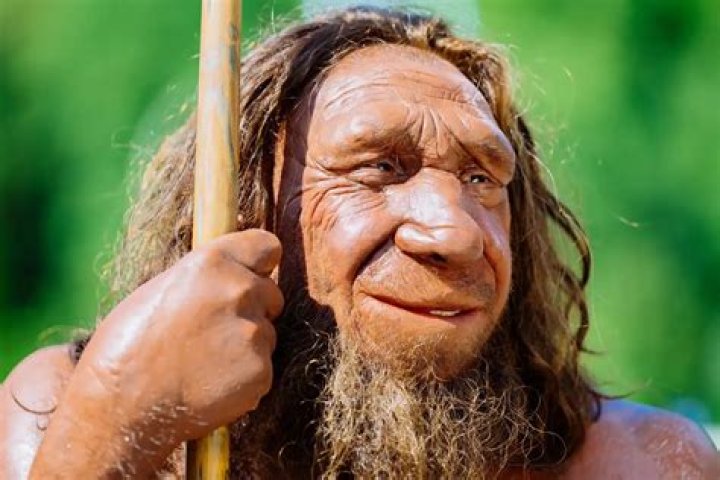 How much could Neanderthals lift?