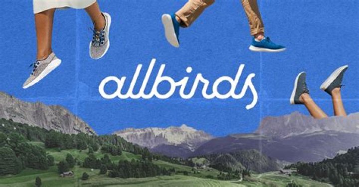 How much does Allbirds spend on advertising?
