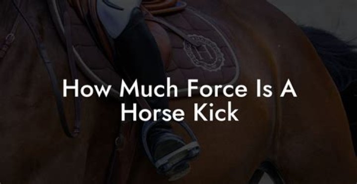 How much force is in a kick?