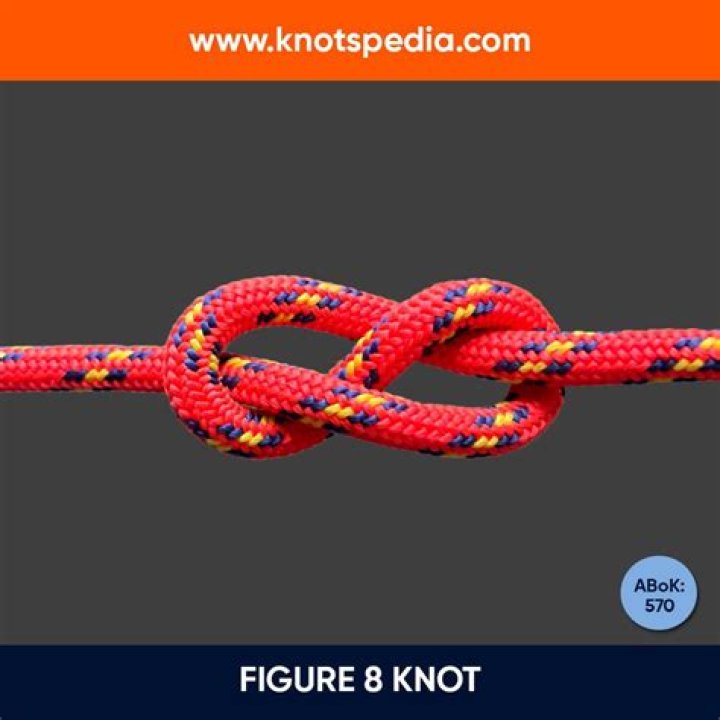 How much is the Figure 8 program?
