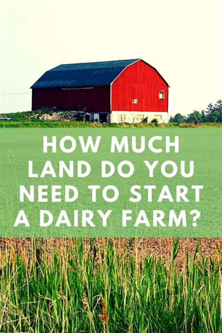 How much land do you need for a pond?
