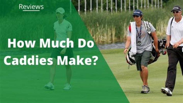 How much weight do caddies carry?