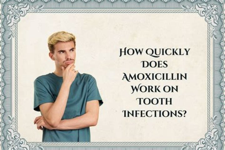 How quickly does amoxicillin work?