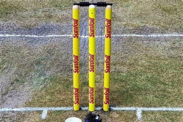How tall is a cricket wicket?