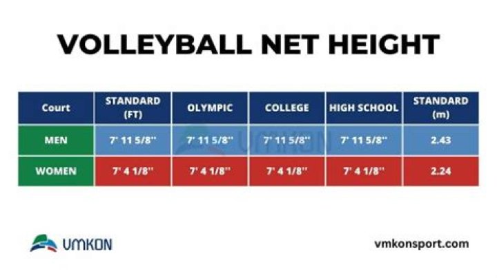 How tall is the average volleyball player?