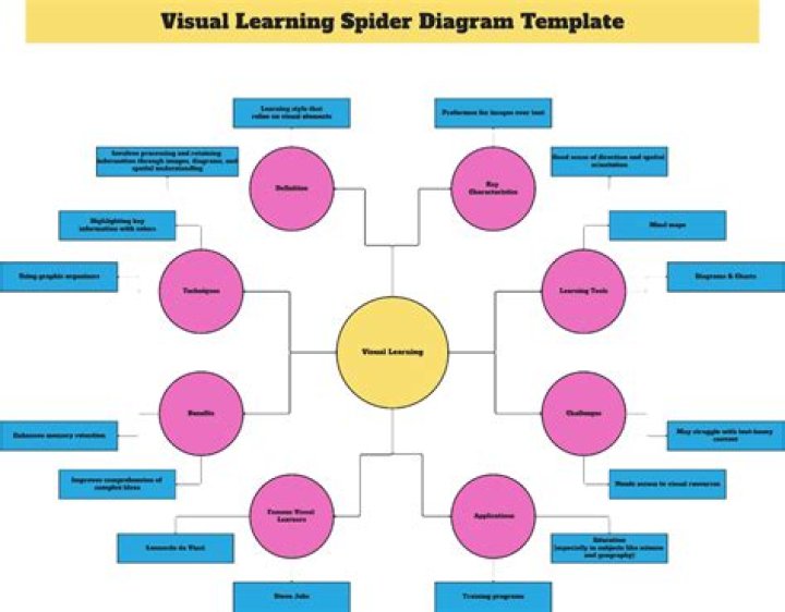 Is a spider intelligent?