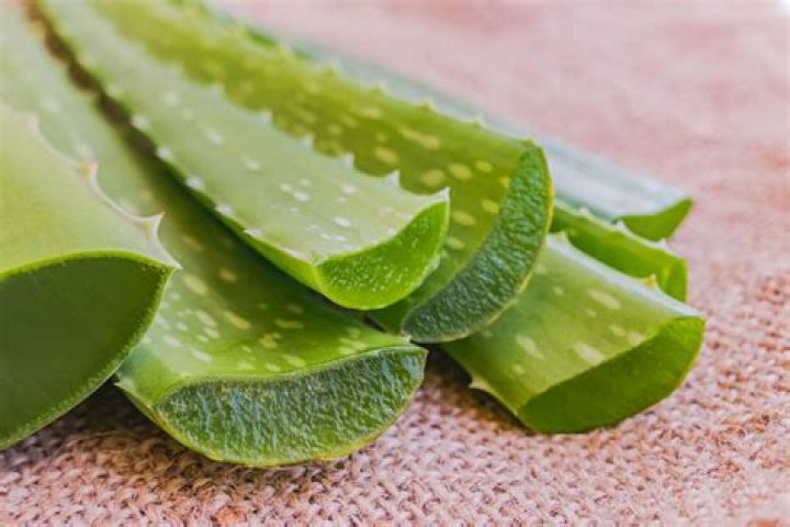 Is Aloe Vera good for fungal infection?