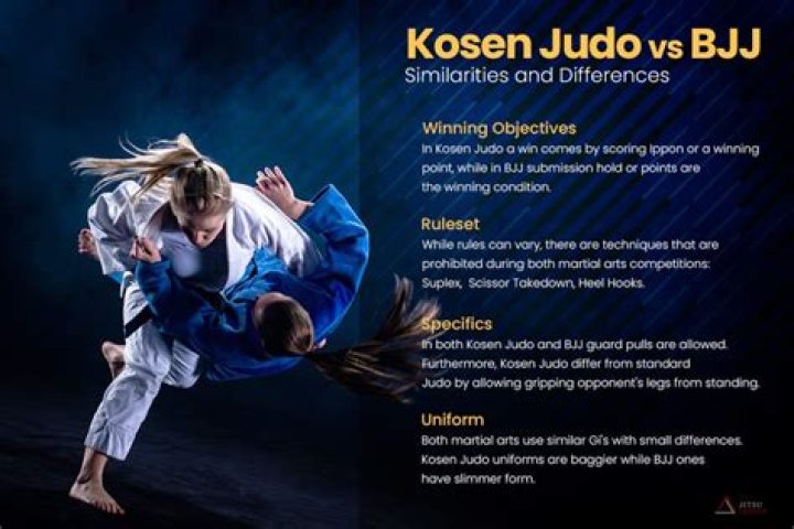 Is BJJ just Judo?