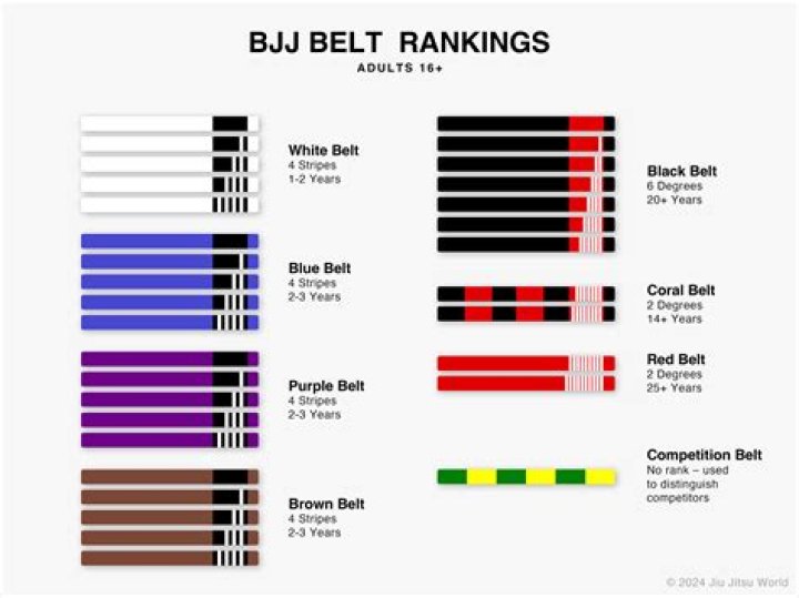 Is competition necessary for BJJ?