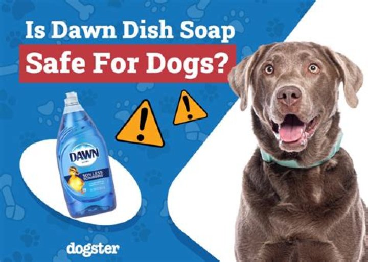 Is dish soap safe for dogs?