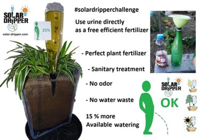 Is human urine good for plants?