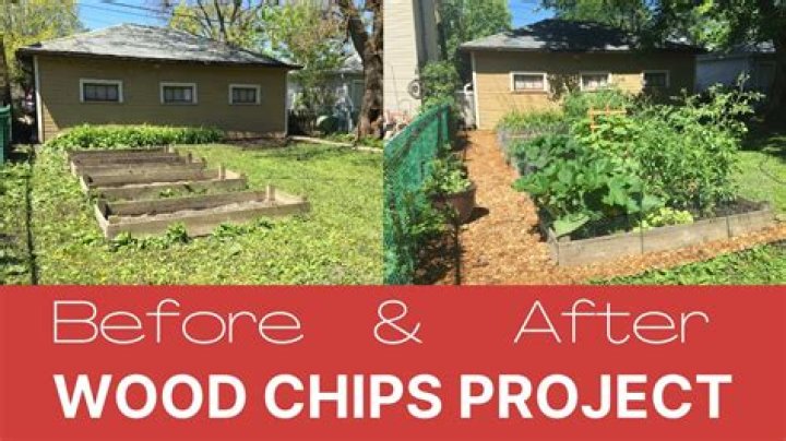 Is it OK to put wood chips around trees?