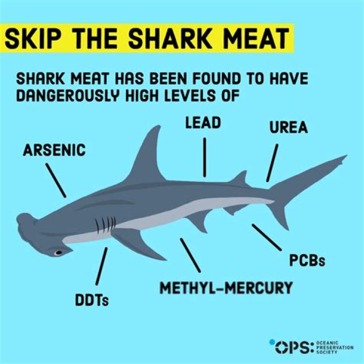 Is it toxic to eat shark?