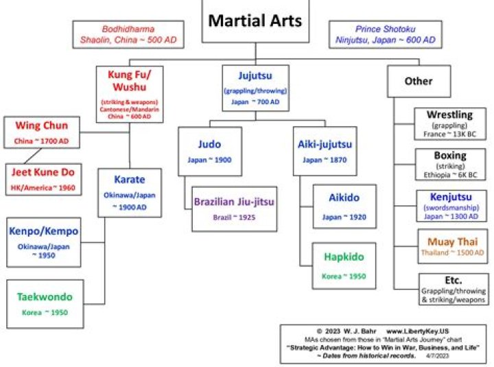 Is K-1 a martial art?