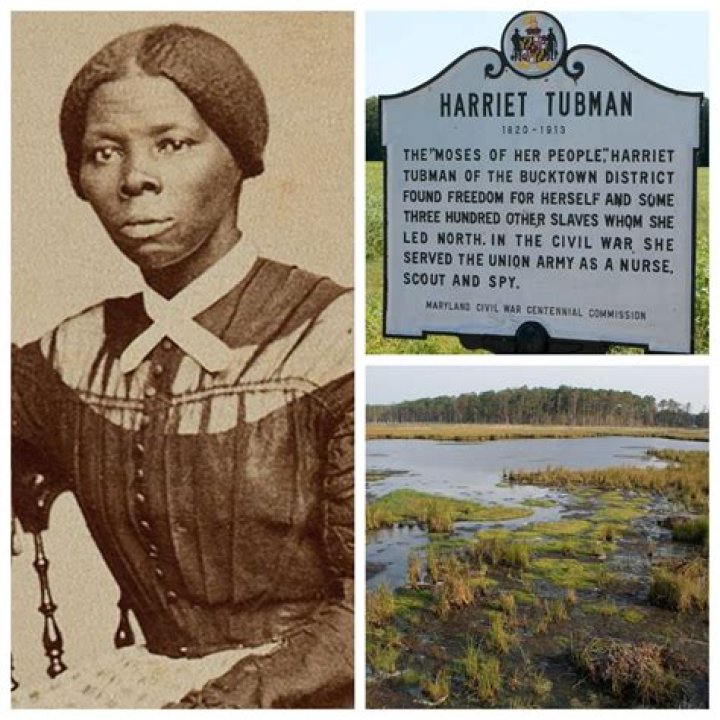 Is Marie from Harriet real?