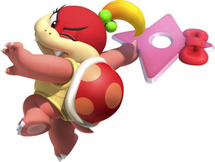 Is Pom Pom from Mario a boy or a girl?