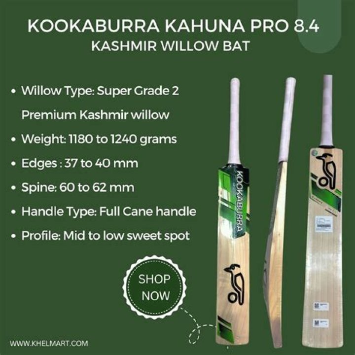 Is popular willow bat good?