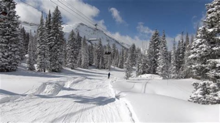 Is Solitude better than Snowbird?