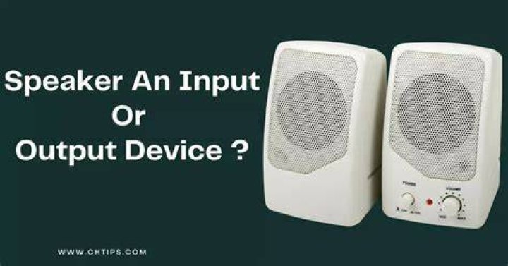 Is speaker A output or input?